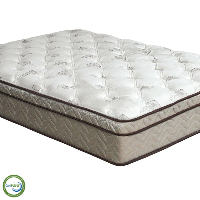 Lilium White/Brown 13" Euro Pillow Top, Queen - California Furniture (Coachella, CA)