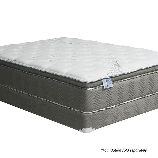 STORMIN White/Gray 13" Euro Pillow Top Mattress, Queen - California Furniture (Coachella, CA)