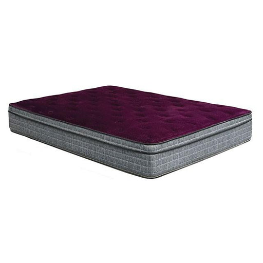 Purple/Grey 13" Euro Pillow Top Mattress Non-Flip, Full - California Furniture (Coachella, CA)