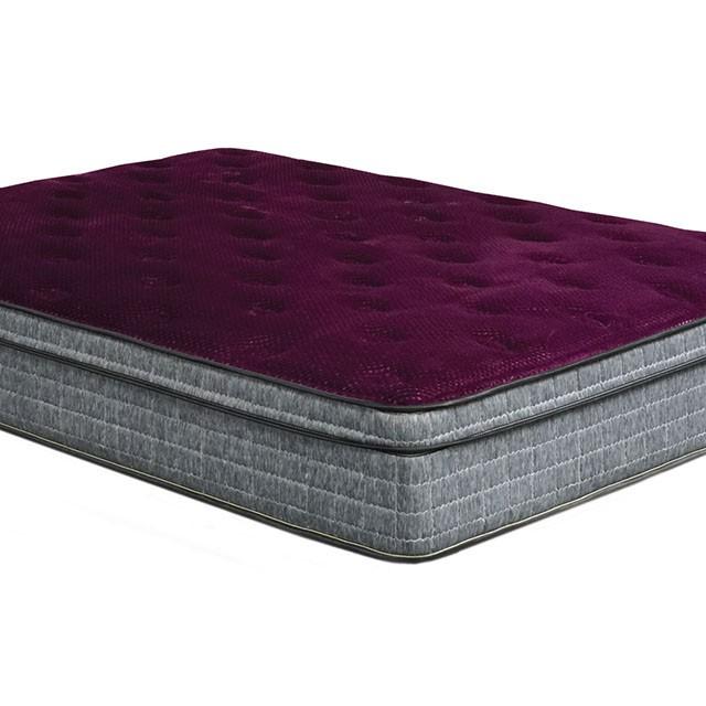 Purple/Grey 13" Euro Pillow Top Mattress Non-Flip, Full - California Furniture (Coachella, CA)