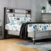 DAPHNE Gray Cal.King, E.King & Queen Bed - California Furniture (Coachella, CA)