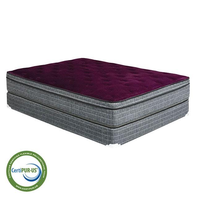 Purple/Grey 13" Euro Pillow Top Mattress Non-Flip, Full - California Furniture (Coachella, CA)