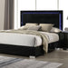 Sinistra E.King & Queen Bed White, Black & Beige - California Furniture (Coachella, CA)