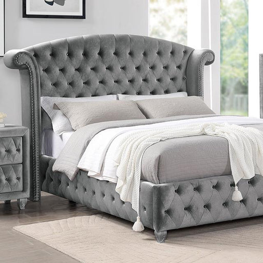 Zohar Queen & Twin Bed Black, Grey, & Pink - California Furniture (Coachella, CA)