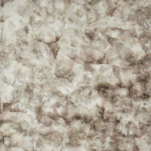 Famalica Area Rug - California Furniture (Coachella, CA)