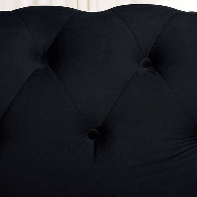 Giacomo Chair Black & Blue - California Furniture (Coachella, CA)
