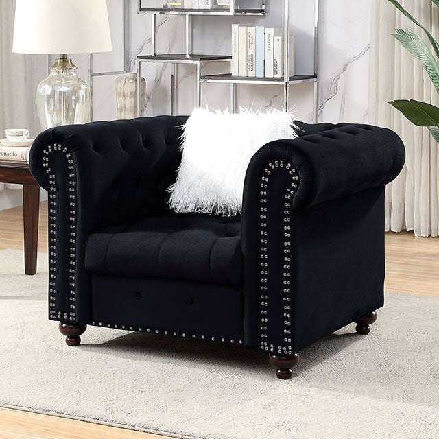 Giacomo Chair Black & Blue - California Furniture (Coachella, CA)