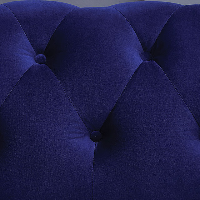Giacomo Chair Black & Blue - California Furniture (Coachella, CA)