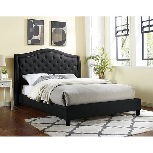 Carly Queen Bed - California Furniture (Coachella, CA)
