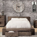 Janeiro Bed Brown & Grey - California Furniture (Coachella, CA)