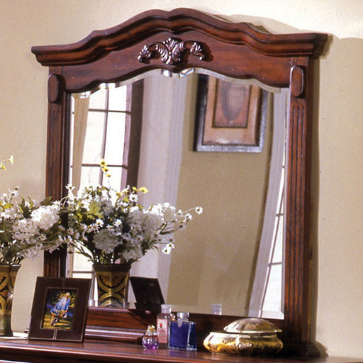 Lewisburg Mirror - California Furniture (Coachella, CA)