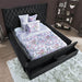 Davida Cal.King & E.King Bed - California Furniture (Coachella, CA)