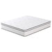 Salvia 12" Cal.King Hybrid Pocket Coil Mattress - California Furniture (Coachella, CA)