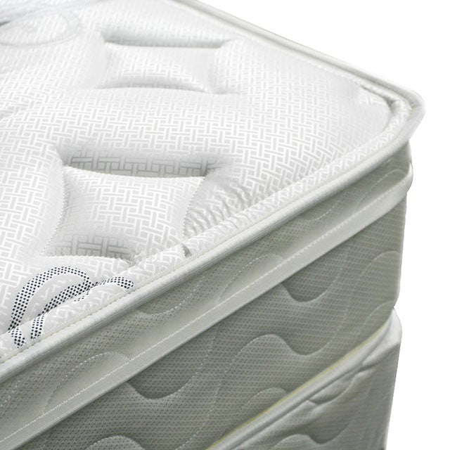 JALEN White 9" Euro Top Mattress, Twin - California Furniture (Coachella, CA)