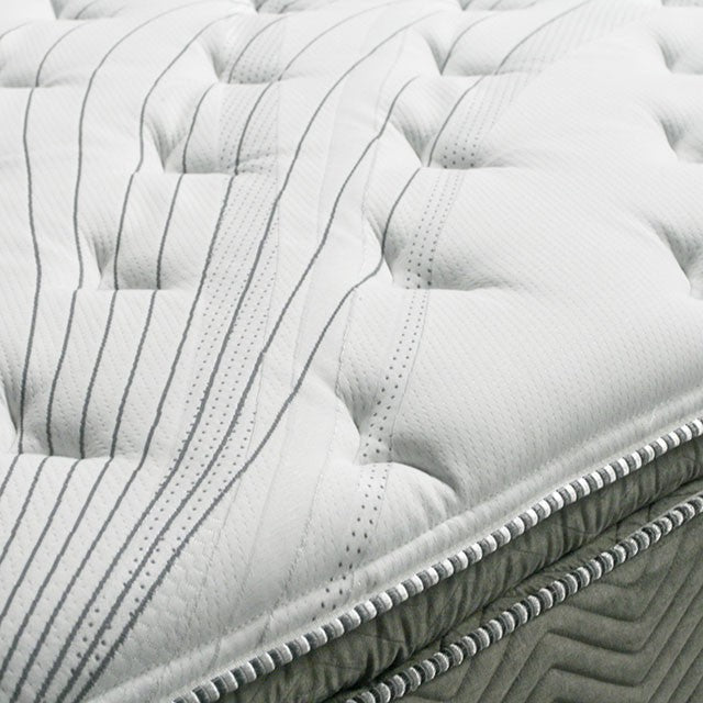 STORMIN White/Gray 13" Euro Pillow Top Mattress, Queen - California Furniture (Coachella, CA)