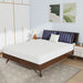 Nasturtium Mattress - California Furniture (Coachella, CA)