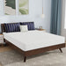 Nasturtium 8" Queen Bamboo Charcoal Infused Memory Foam - California Furniture (Coachella, CA)