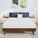 Nasturtium 8" Queen Bamboo Charcoal Infused Memory Foam - California Furniture (Coachella, CA)