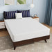 Nasturtium 10" Full Bamboo Charcoal Infused Memory Foam - California Furniture (Coachella, CA)