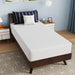 Nasturtium 10" Twin Bamboo Charcoal Infused Memory Foam - California Furniture (Coachella, CA)