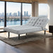 Napervill Futon Sofa - California Furniture (Coachella, CA)