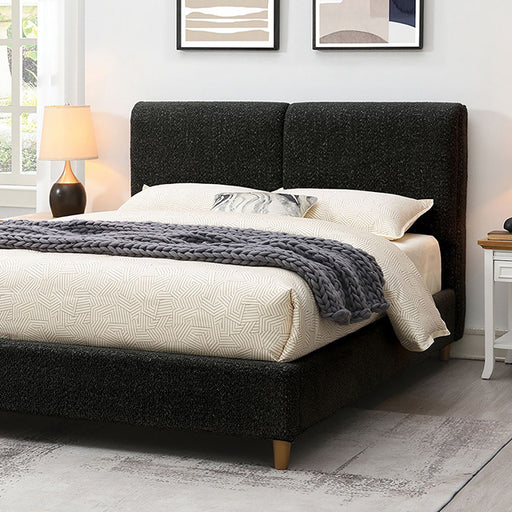Stavern Bed Black & Grey - California Furniture (Coachella, CA)