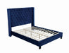 Ryleigh Bed Black, Grey, & Navy - California Furniture (Coachella, CA)