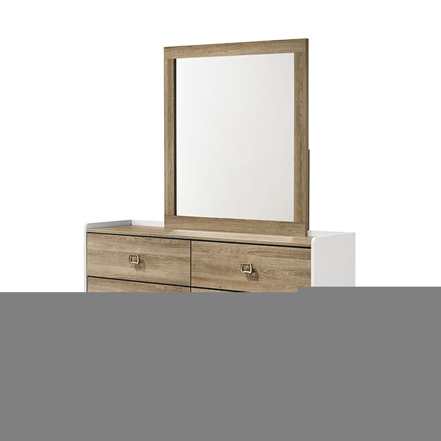 Posey Dresser