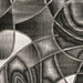 SIVAS 8' X 10' Area Rug - California Furniture (Coachella, CA)